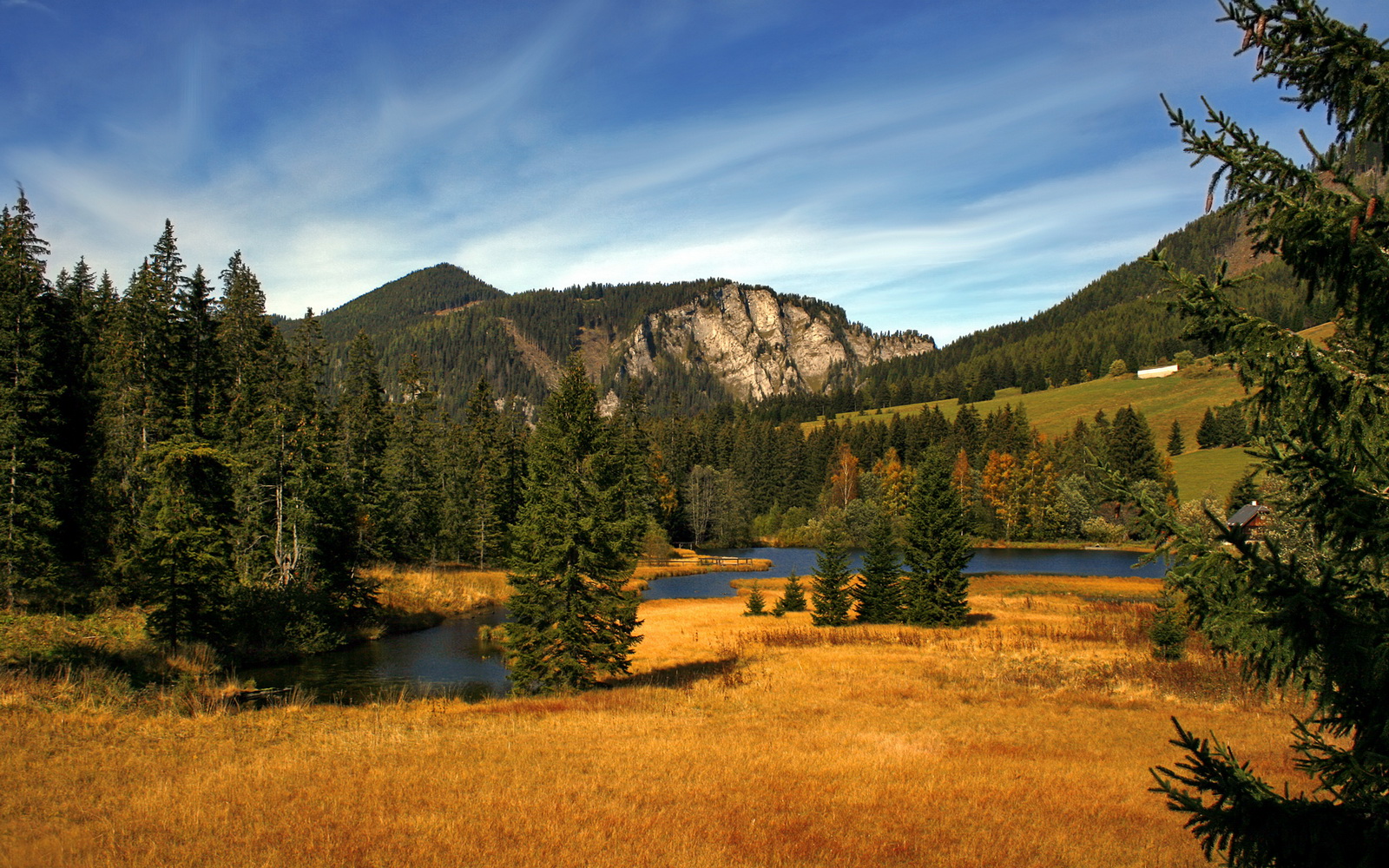 开云体育中国-暗流涌动的奥运门票，丹麦五分钟风暴撕碎埃及防线