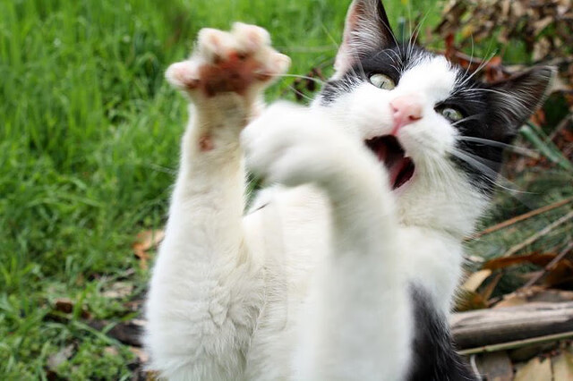 开云体育中国-绿茵场外的高潮，2026世界杯期间，马刺如何强势攻陷太阳队主场？