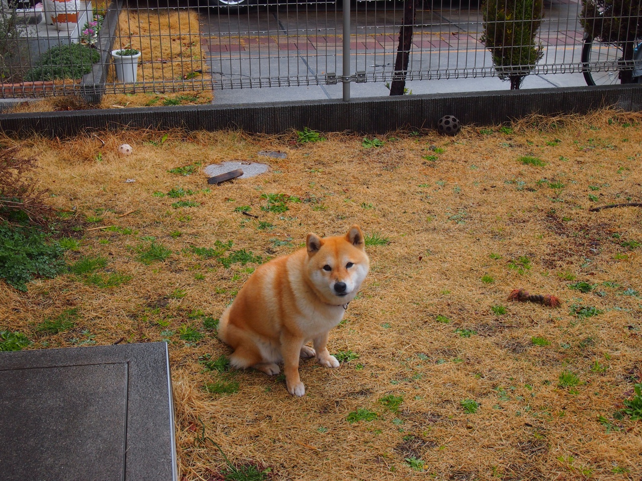 星际陨铁落入伯纳乌，贝林厄姆的魔笛吹响新时代序曲