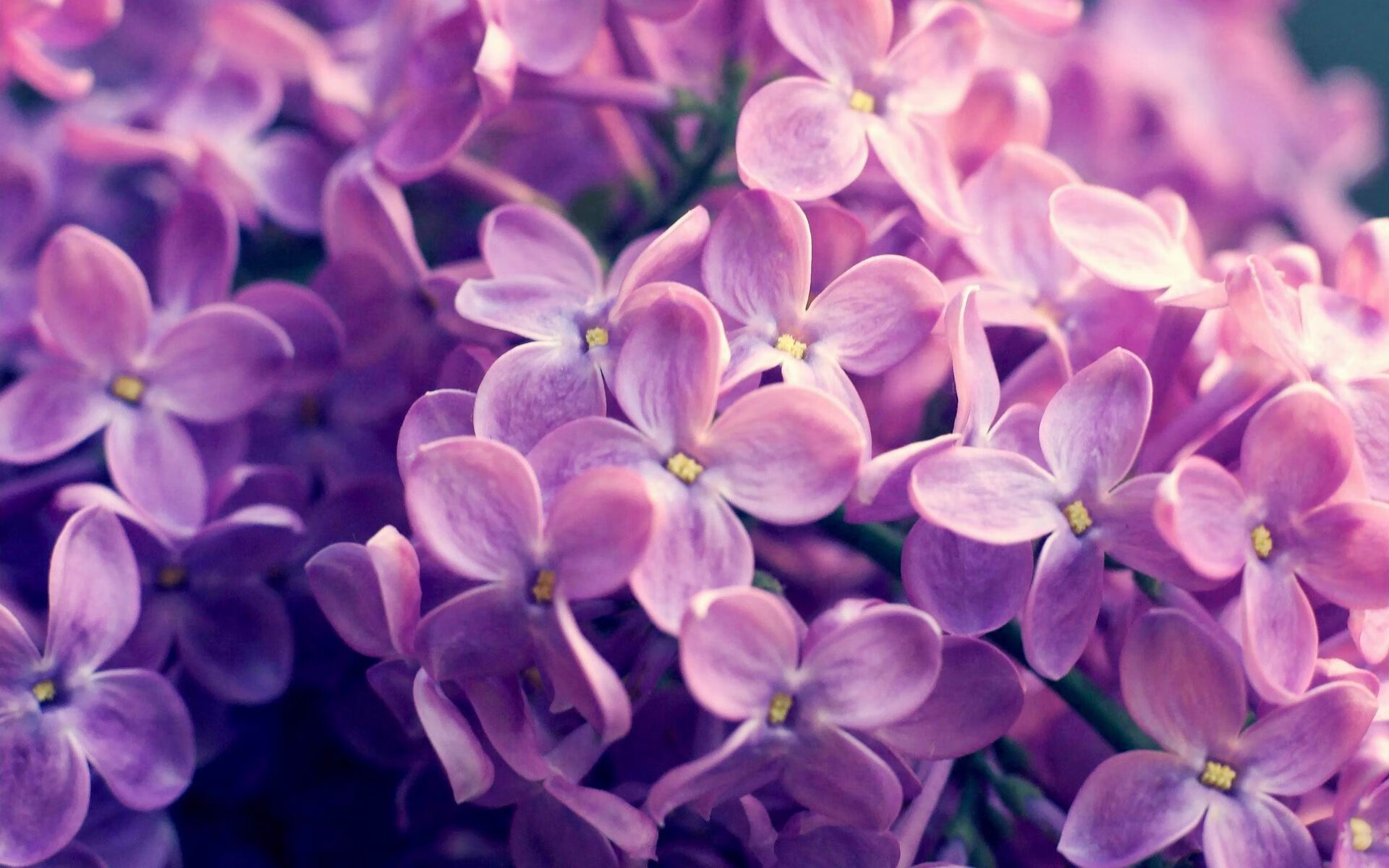 恩佐时代降临，乌拉圭行云流水压制沙特，美加墨赛场见证新王接管
