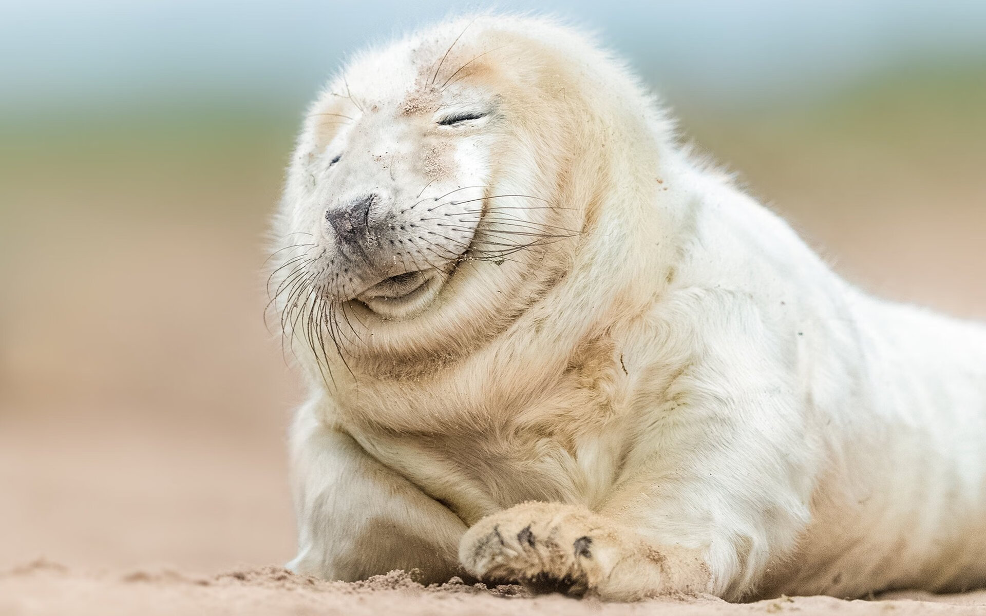 王者爱德华兹，他如何用46分点燃新疆主场