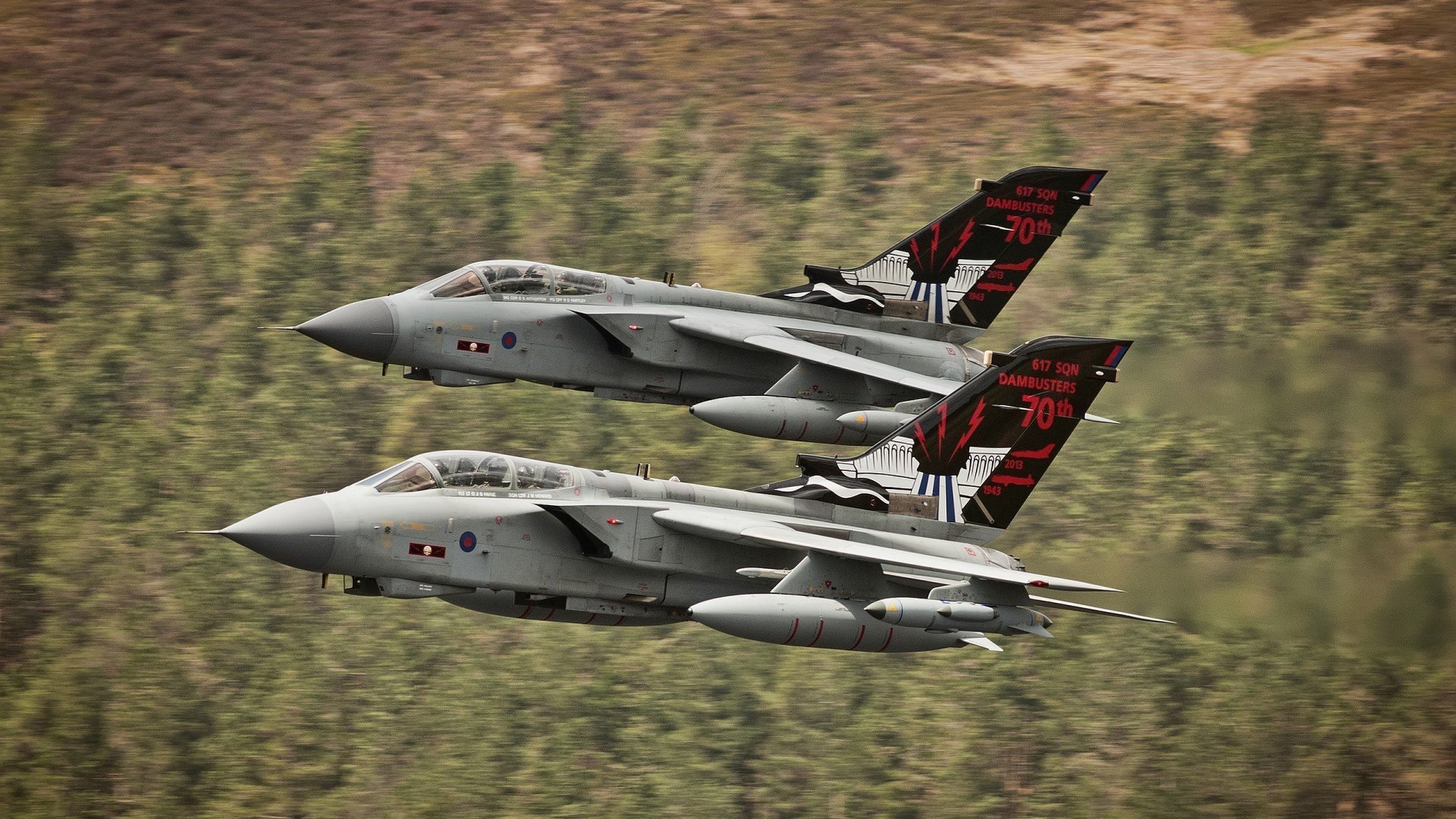 跨越时空的胜者之心，广东鏖战告捷，霍勒迪总决赛封神