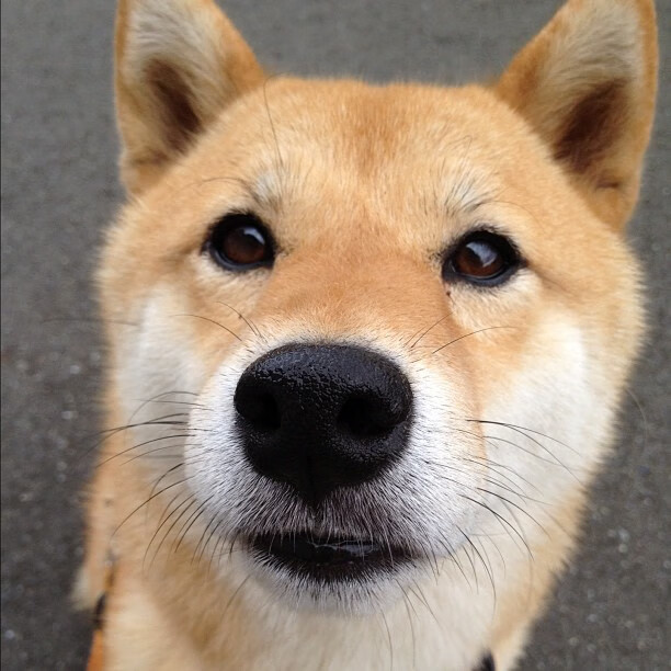 红龙的咆哮与金靴的觉醒，决胜时刻的英雄主义