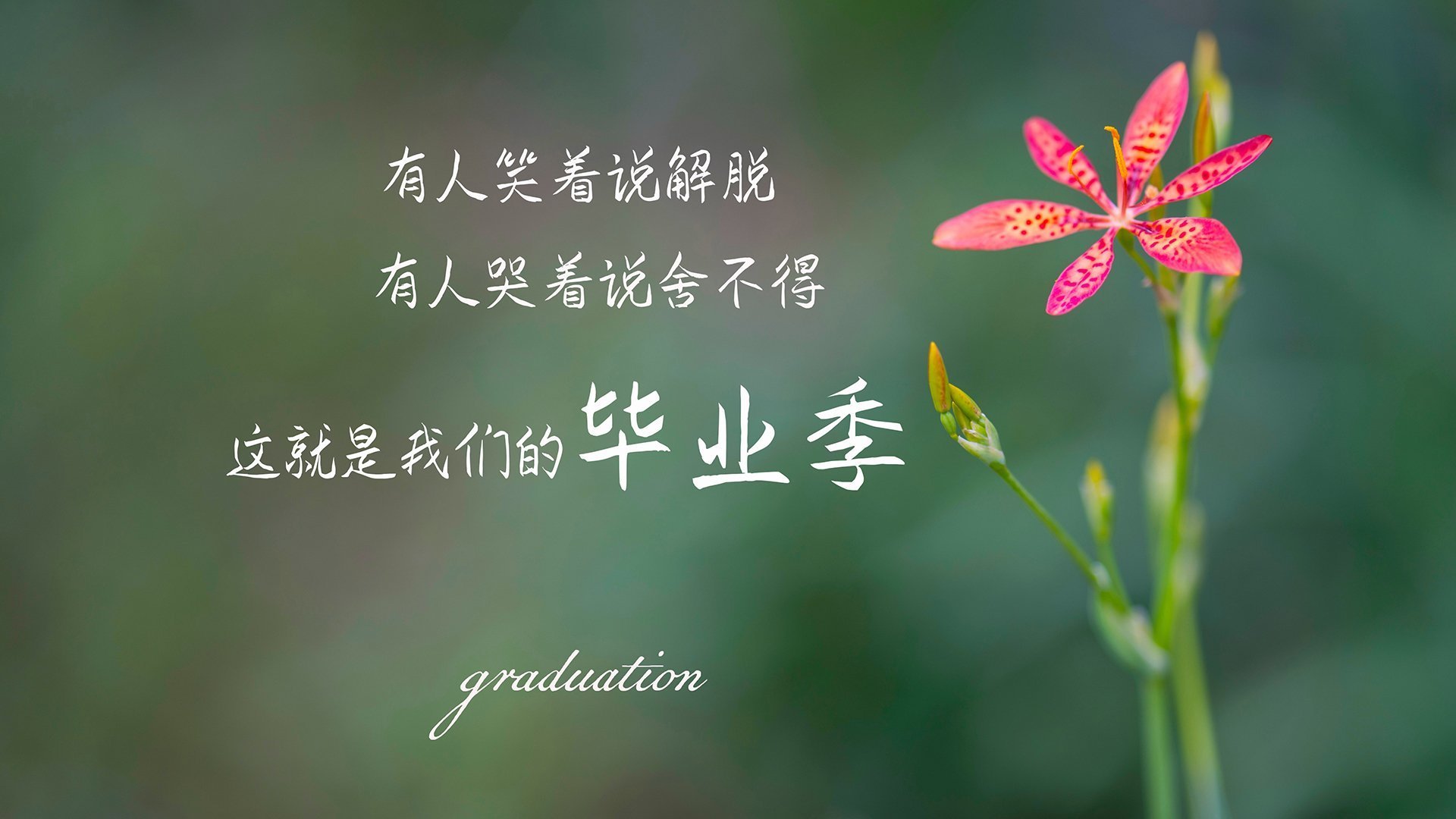 开云体育app-深渊灯火，马克西的硬仗美学