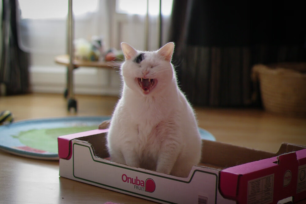 火箭强行点熄活塞引擎，欧文化身绝境代码破局者