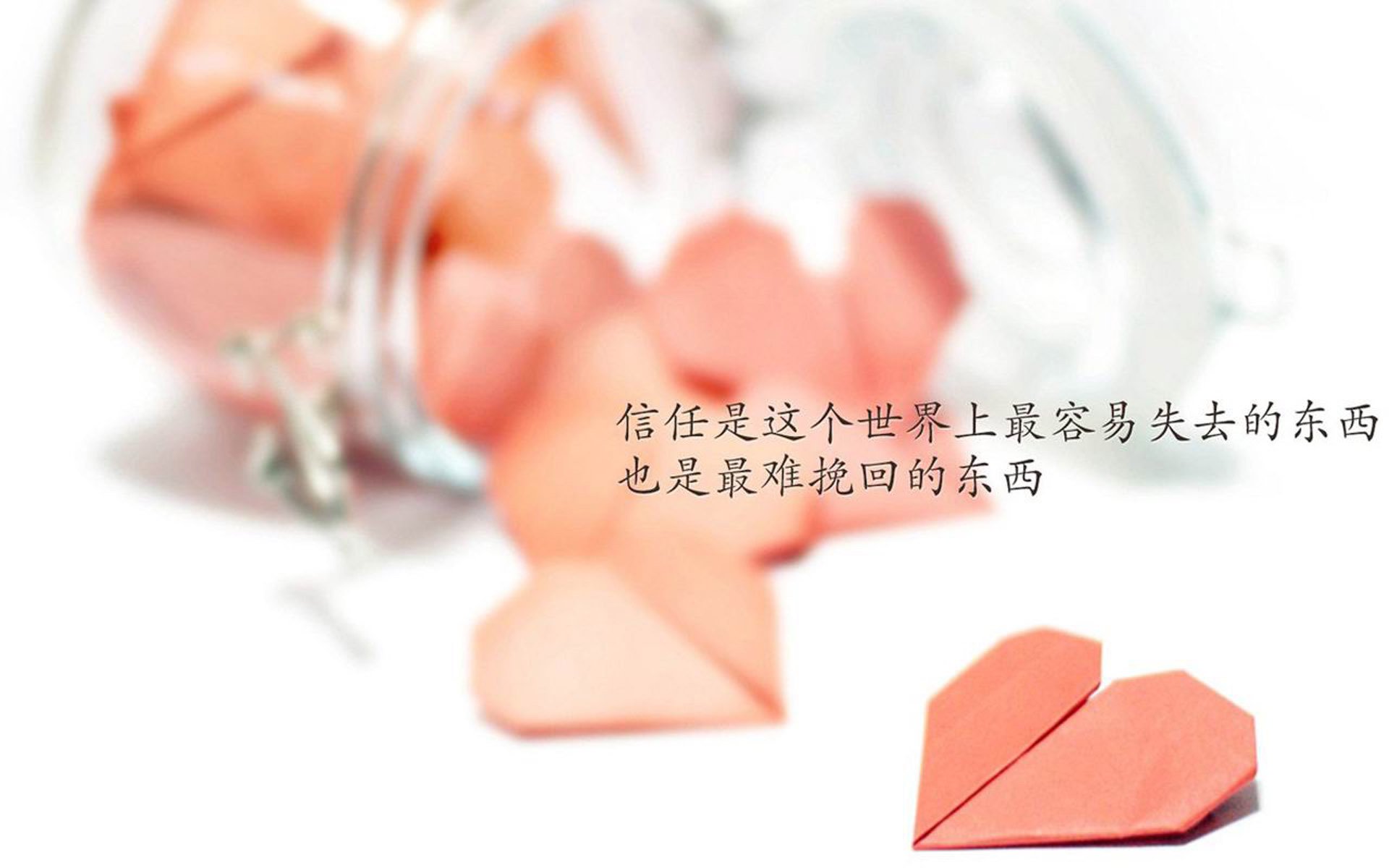 节奏大师,约基奇如何用篮球哲学诠释英超冠军的诞生