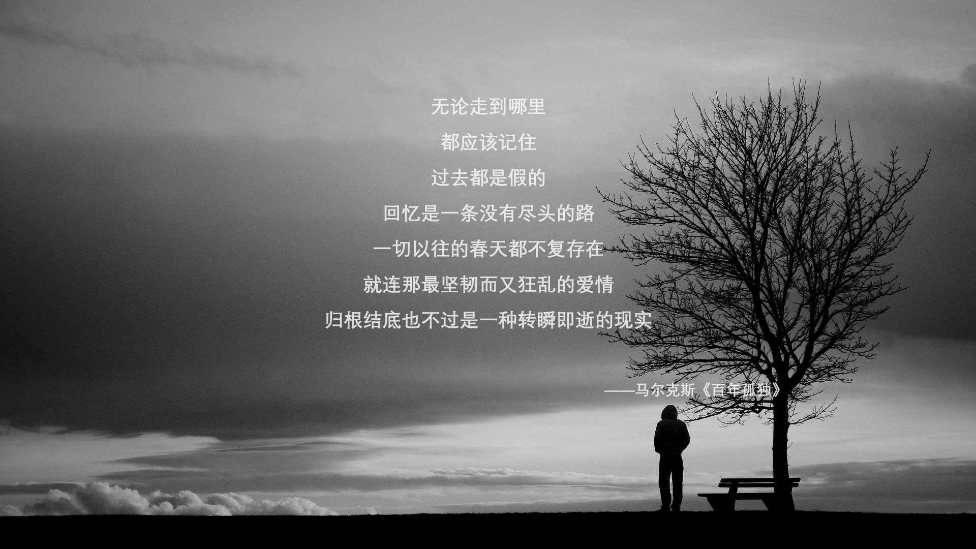 灵魂易主,当范戴克成为葡萄牙的特洛伊木马,日本在2026世界杯写下的不破不立寓言