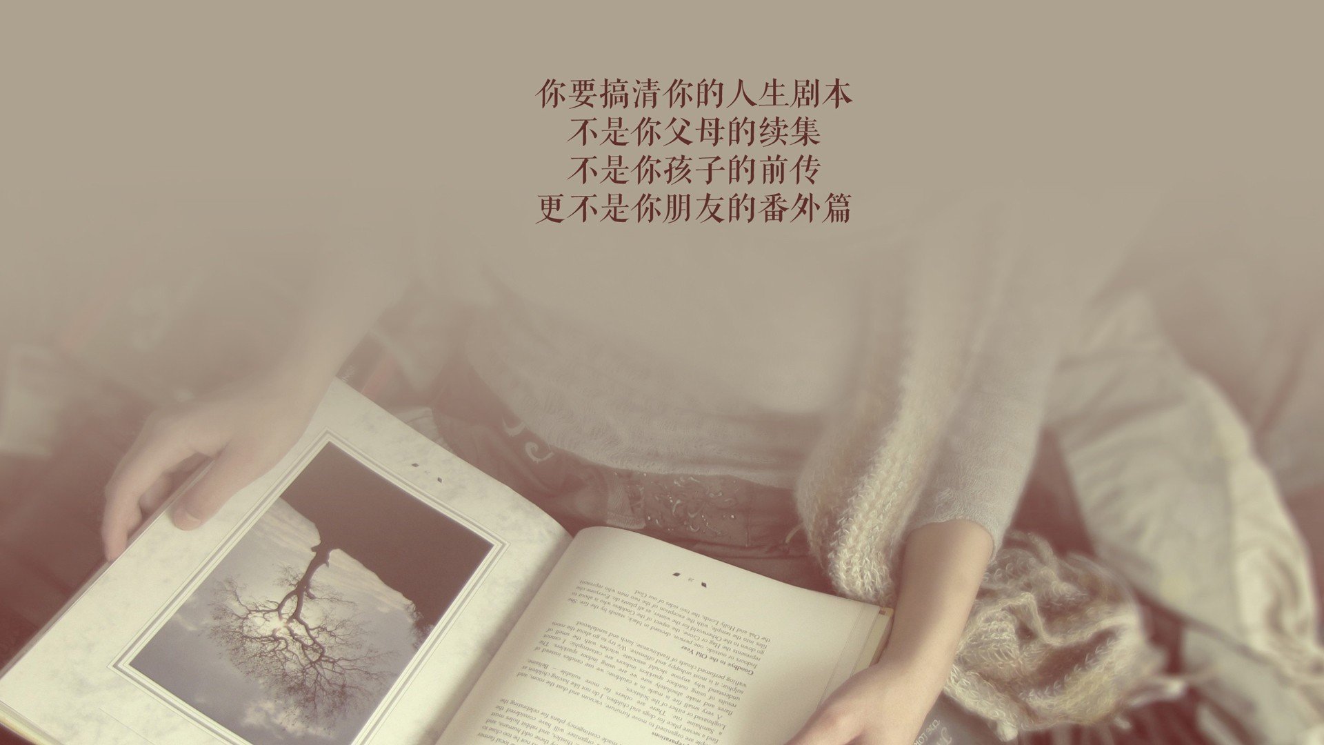 海港的黄昏,与沙漠的黎明,当苏亚雷斯用信仰击沉葡萄牙,改写D组丛林法则