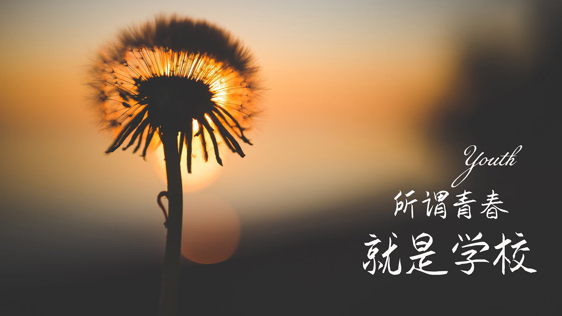北极光下的冷血风暴，当德布劳内用一记降维打击让玛雅足球的神话在2026年A组褪色