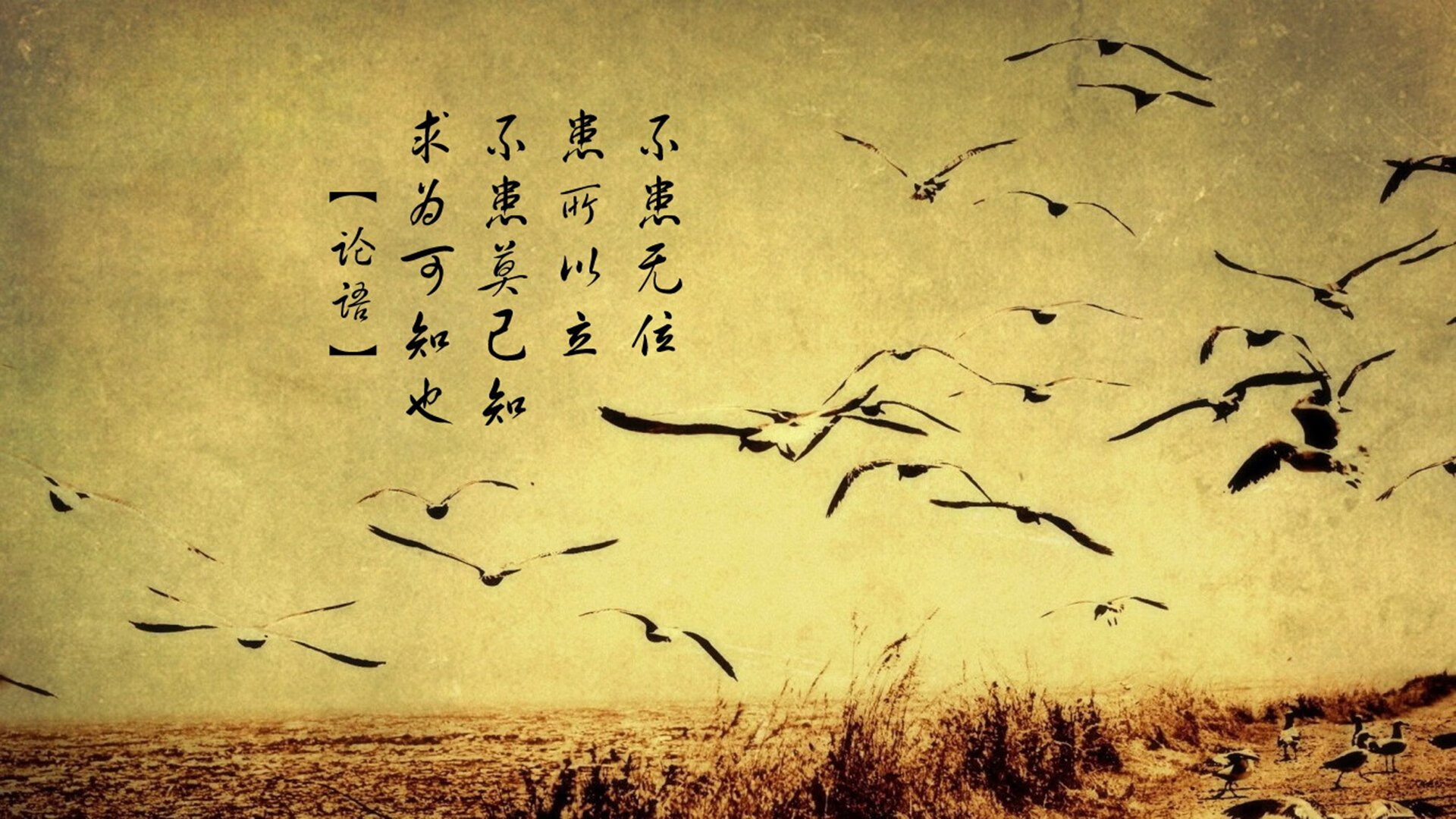 开云体育官网-先扩展思维，构思一个既有悬念又能体现唯一性的标题